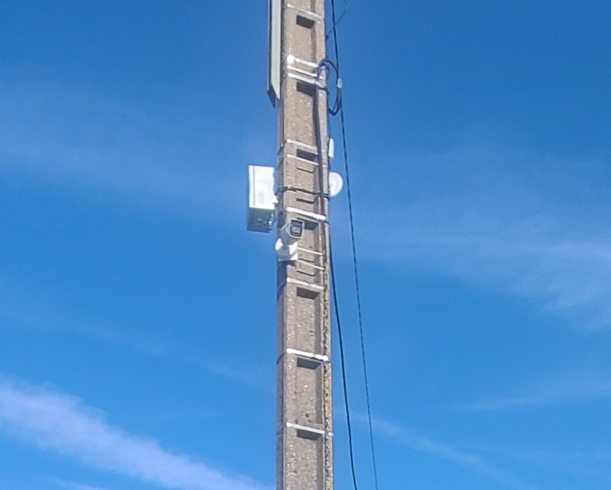 card-img-top